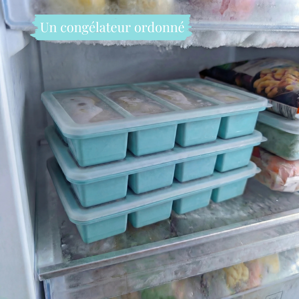 Solution Meal Prep – Plateaux Portions faciles à congeler